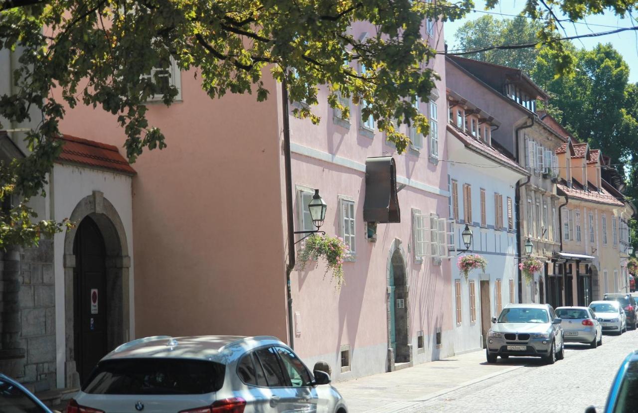 Pink House Studio Lublaň Exteriér fotografie